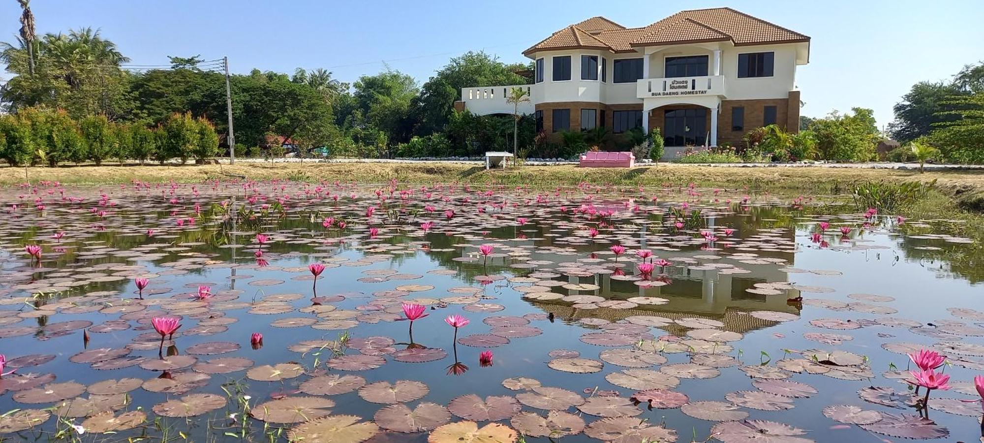 Bua Daeng Homestay Resort Kumphawapi Exterior foto
